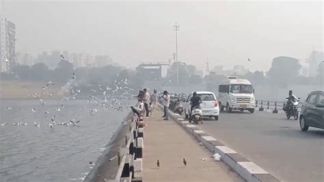 Surat experienced a persistent foggy atmosphere since morning, giving ...