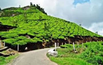 Magical 4 Days 3 Nights Munnar Hill Stations Trip Package | Munnar ...