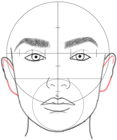 Image result for Basic Face Drawing