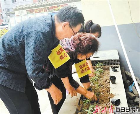 “共享小菜园”让邻里更亲近_澎湃号·媒体_澎湃新闻-The Paper