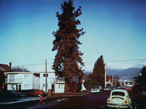 Jeff Wall, The Pine on the corner, 1990, JPMorgan Chase Art Collection ...