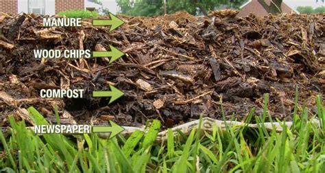 No-Till Gardening Techniques 的图像结果