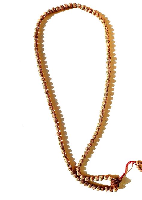 Buy Nepali 5 Mukhi Rudraksha Mala with Lab Tested Certificate with 1 ...