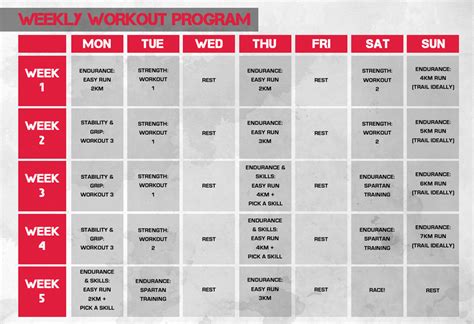Example Workout Schedule 的图像结果