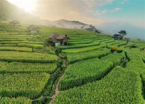 DREAM TRIP THAILAND - Flying Dutchman Magazine