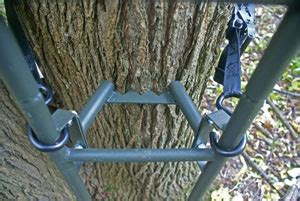 Image result for Lock Down Ladder Tree Stands