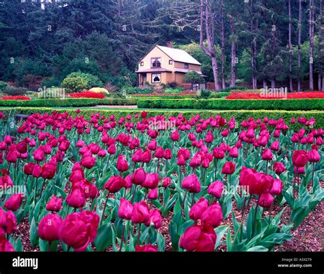 Shore acres gardens hi-res stock photography and images - Alamy