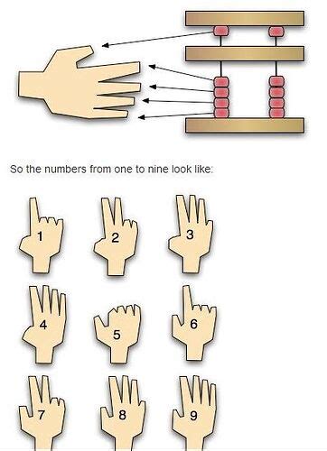 Image result for Finger Mathematic