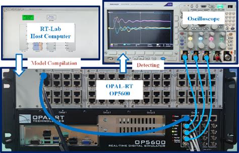 Live Simulation 的图像结果