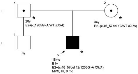 Mucopolysaccharidosis Type I in Mexico: Case-Based Review