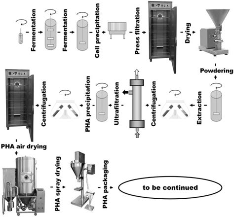 Polyhydroxyalkanoates Composites and Blends: Improved Properties and ...