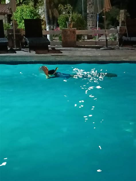 HOTEL SERENIDAD (Mulege) - Hotel Reviews, Photos, Rate Comparison ...