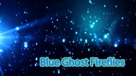 Blue Ghost Fireflies Near Asheville | HeySmokies