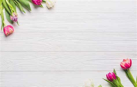 Wallpaper flowers, spring, colorful, tulips, Board, wood, pink, flowers ...