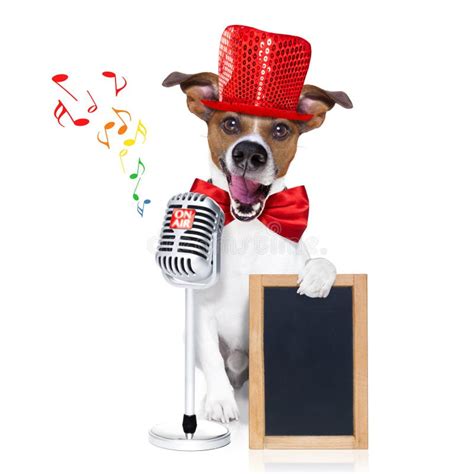 卡拉OK演唱唱歌狗 库存图片. 图片 包括有 庆祝, 夜总会, 话筒, 享用, 音乐会, 冷静, 迪斯科舞厅 - 66021309