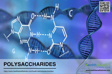 What is Polysaccharides: Characteristics, Types, and Functions - Health ...