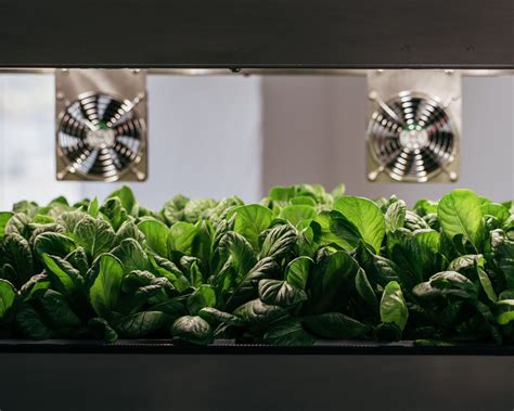 greenhub - 7 key insights into dynamic climate conditions that can ...