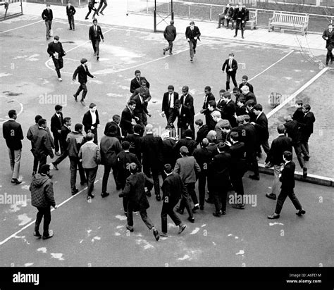 High School Student Fights