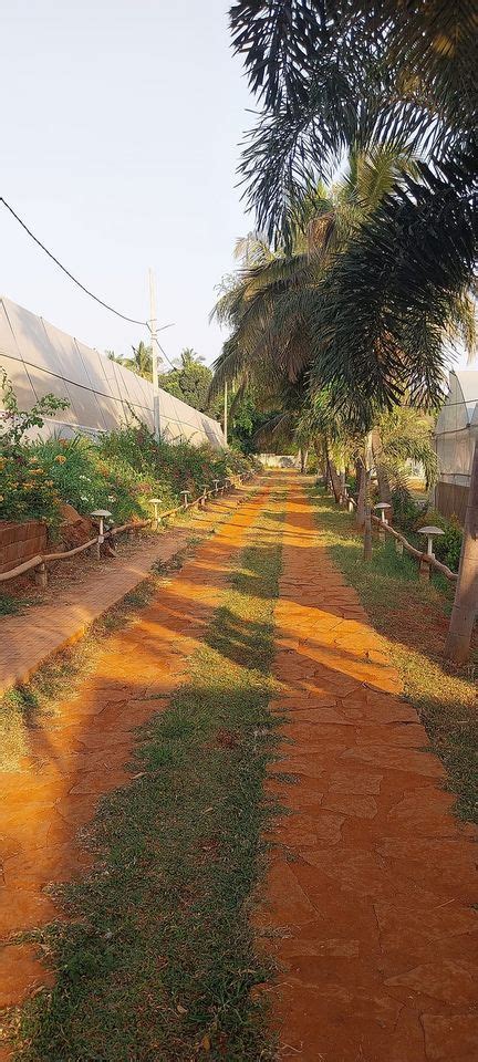 Bangalore Basanta Utsav , Challaghatta, Bangalore, 24 March 2024 ...