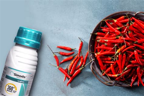 Simodis-test | Syngenta