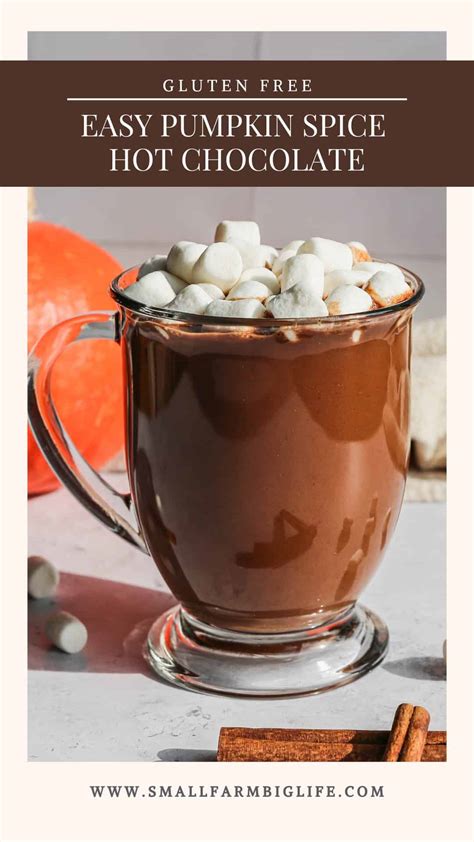 Easy Pumpkin Spice Hot Chocolate - Small Farm Big Life