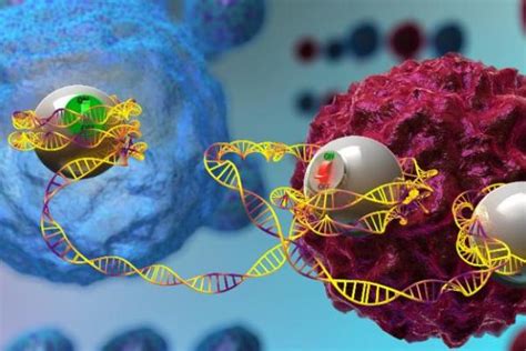 Image result for Genome Expression