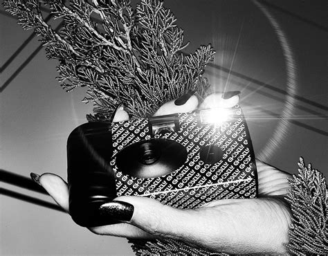 Local Services App 的图像结果