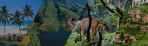 Best Tour And Travel Packages from Ahmedabad