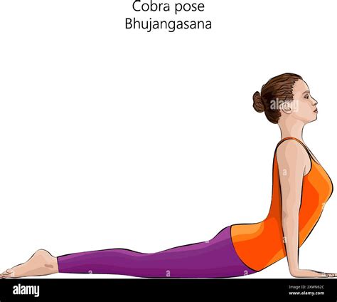 Young woman practicing Bhujangasana yoga pose. Cobra pose. Intermediate ...