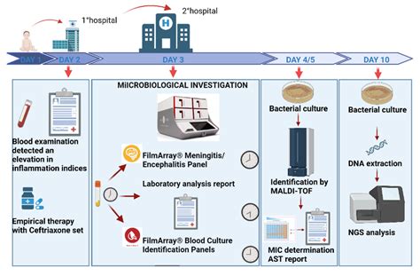 Integrating Diagnostic Approaches in Infant Bacterial Meningitis Caused ...