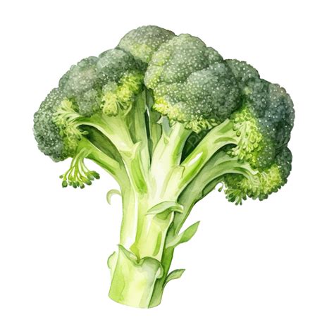 Veggietales Characters Broccoli
