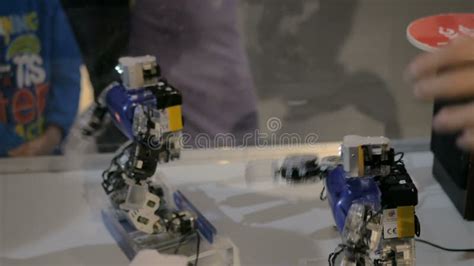 Humanoid Robots Dancing 的图像结果