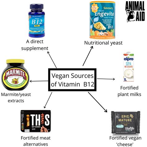 A Vegan Guide to Vitamin B12 - Go Vegan