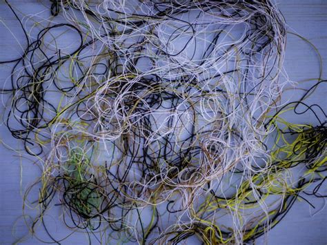 Image result for Tangled Thread Sewing Machine