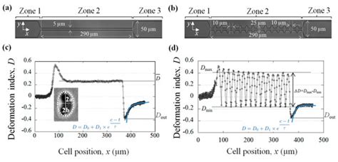 Impact of Channel Geometry on the Discrimination of Mechanically ...
