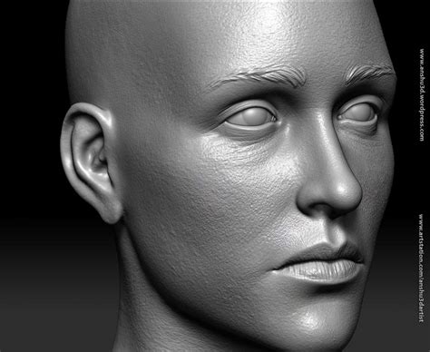 Realistic Female Head - 3D Model by anshu3dartist