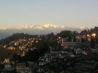 Geography of Darjeeling, Flora and Fauna in Darjeeling