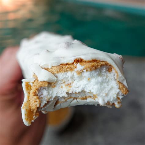 Biscoff Ice Cream Bars Recipe at Abbey Wales blog