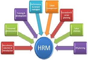 Human Resource Management Practices 的图像结果