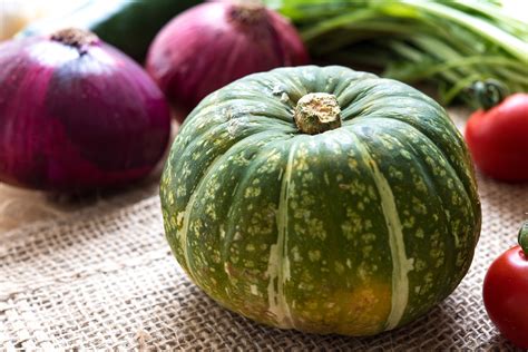 Types Of Green Squash
