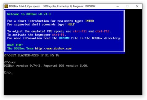 Image result for DOSBox Filters