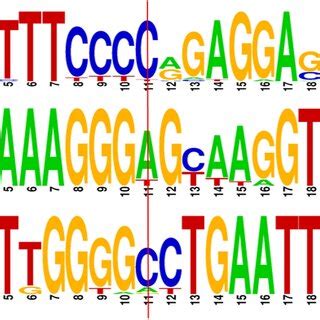WebLogo 的图像结果