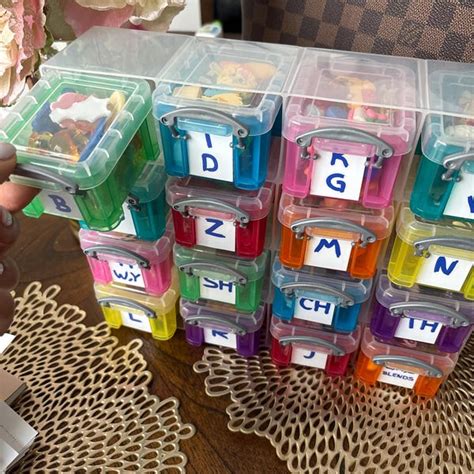 Image result for Insect Sorting