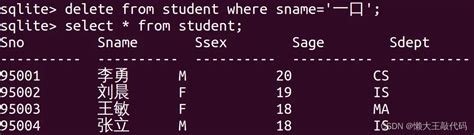JavaScript Sqlite3 Tutorial 的图像结果