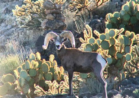 Image result for Arizona Insurance License