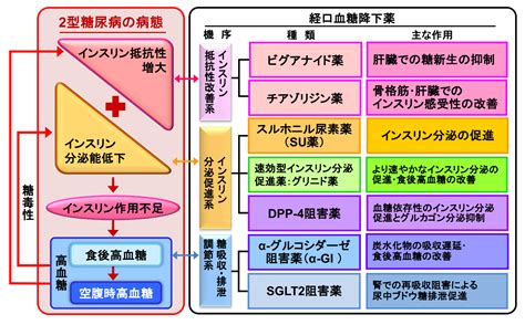 Image result for 12 Class Computer Guide
