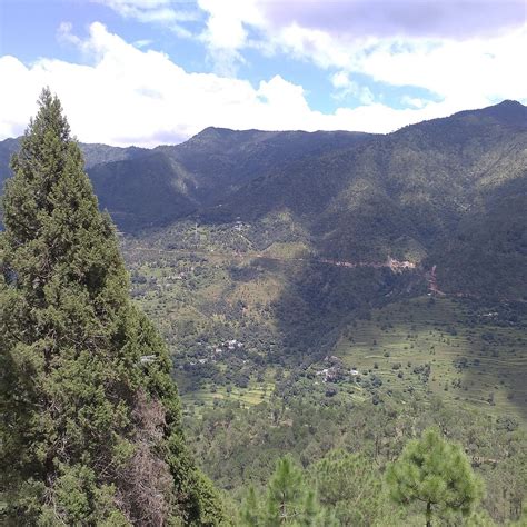 DWARAHAT VILLAGE - All You Need to Know BEFORE You Go 2026 (with Photos ...