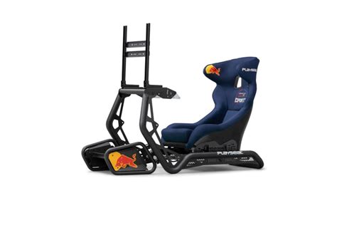 Image result for Racing Simulator Rigs