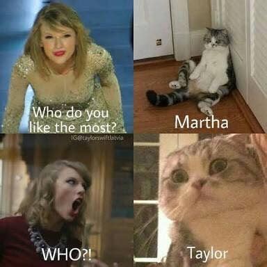 Pin by Susie White on Taylor Swift 2 | Taylor swift funny, Taylor swift ...