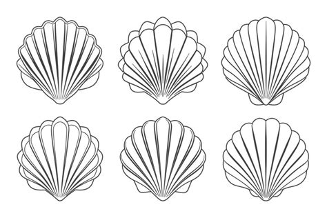Image result for Scallop Shell Pattern